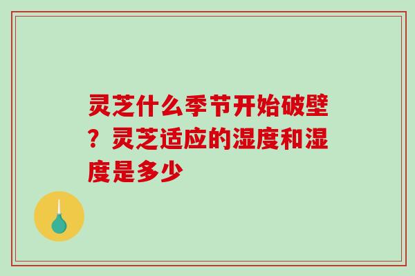 灵芝什么季节开始破壁？灵芝适应的湿度和湿度是多少