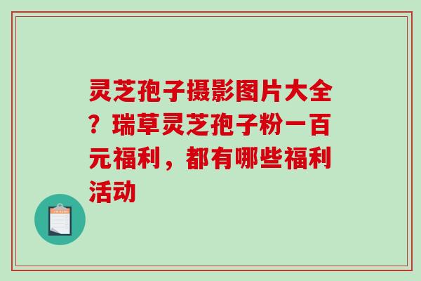 灵芝孢子摄影图片大全?瑞草灵芝孢子粉一百元福利,都有哪些福利活动 灵芝孢子摄影图片大全?瑞草灵芝孢子粉一百元福利,都有哪些福利活动