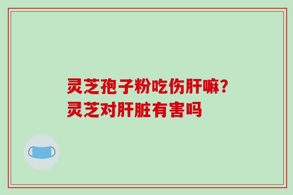 灵芝孢子粉吃伤嘛?灵芝对有害吗 灵芝孢子粉吃伤嘛?灵芝对有害吗