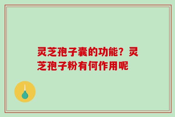 灵芝孢子囊的功能？灵芝孢子粉有何作用呢