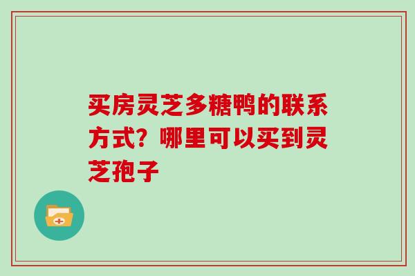 买房灵芝多糖鸭的联系方式？哪里可以买到灵芝孢子