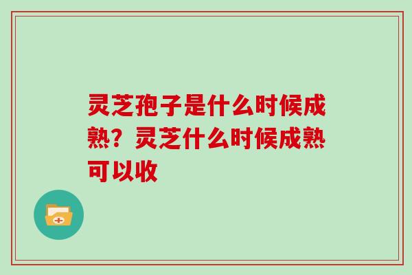 灵芝孢子是什么时候成熟?灵芝什么时候成熟可以收 灵芝孢子是什么时候成熟?灵芝什么时候成熟可以收