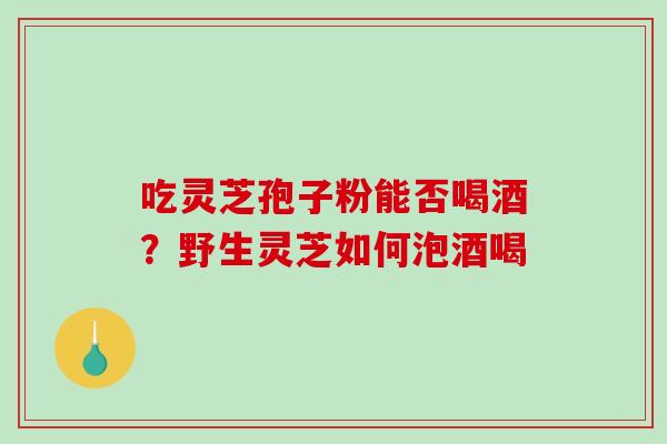 吃灵芝孢子粉能否喝酒？野生灵芝如何泡酒喝