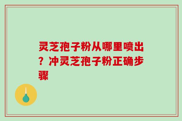灵芝孢子粉从哪里喷出？冲灵芝孢子粉正确步骤
