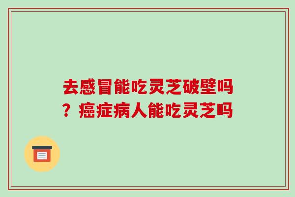 去能吃灵芝破壁吗？症人能吃灵芝吗