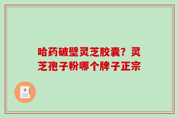 哈药破壁灵芝胶囊？灵芝孢子粉哪个牌子正宗
