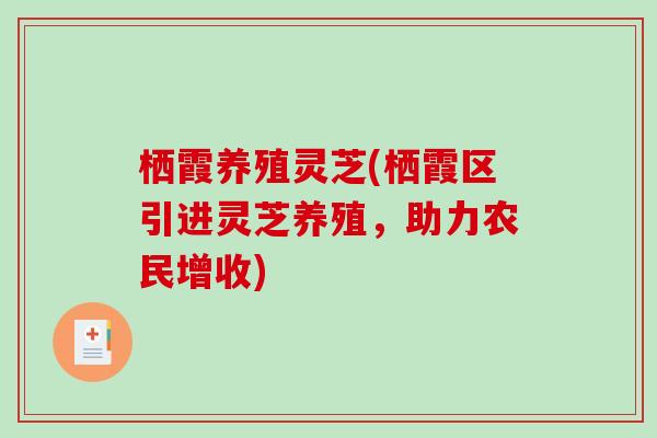 栖霞养殖灵芝(栖霞区引进灵芝养殖，助力农民增收)