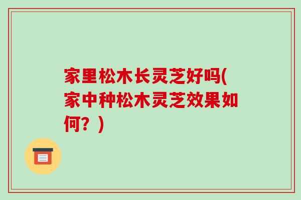 家里松木长灵芝好吗(家中种松木灵芝效果如何？)