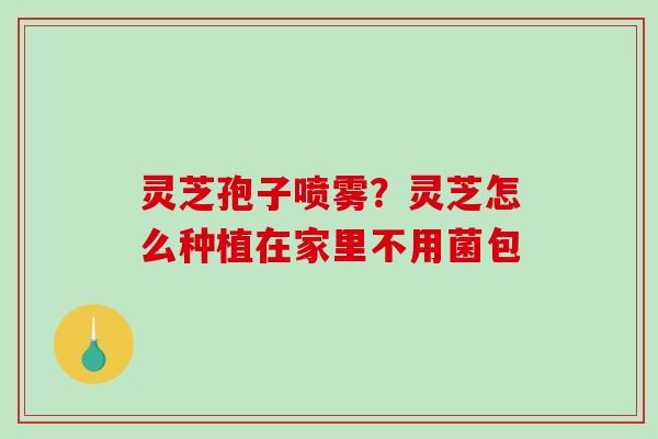 灵芝孢子喷雾?灵芝怎么种植在家里不用菌包 灵芝孢子喷雾?灵芝怎么种植在家里不用菌包