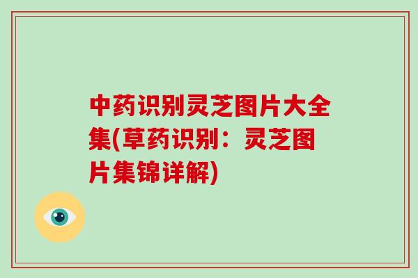 识别灵芝图片大全集(草药识别：灵芝图片集锦详解)