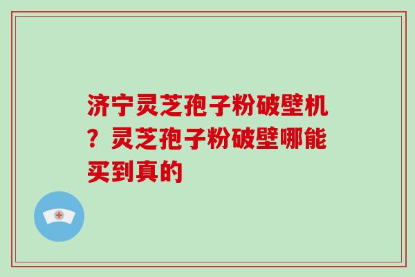 济宁灵芝孢子粉破壁机？灵芝孢子粉破壁哪能买到真的