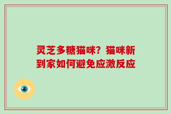 灵芝多糖猫咪？猫咪新到家如何避免应激反应