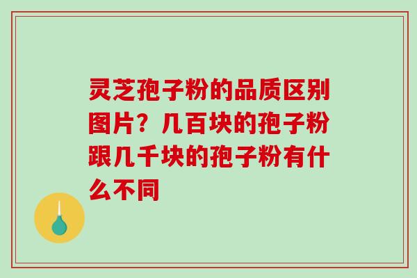 灵芝孢子粉的品质区别图片？几百块的孢子粉跟几千块的孢子粉有什么不同