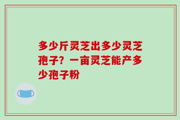 多少斤灵芝出多少灵芝孢子？一亩灵芝能产多少孢子粉