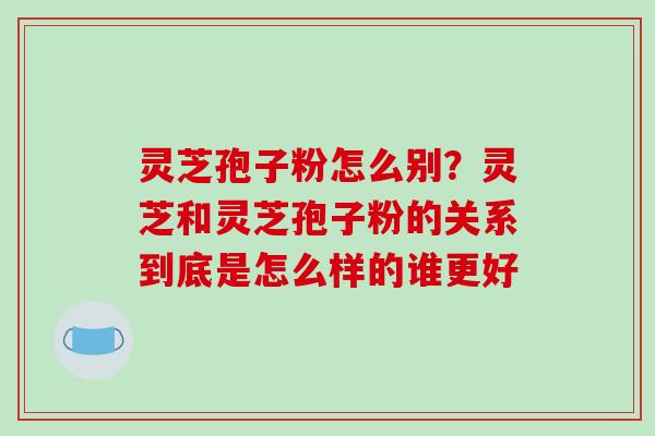 灵芝孢子粉怎么别？灵芝和灵芝孢子粉的关系到底是怎么样的谁更好