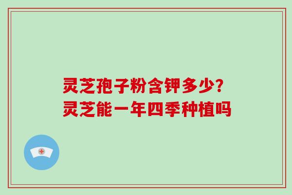 灵芝孢子粉含钾多少？灵芝能一年四季种植吗