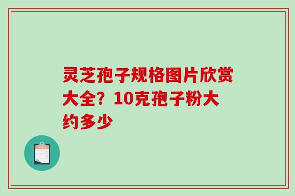 灵芝孢子规格图片欣赏大全？10克孢子粉大约多少