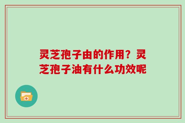 灵芝孢子由的作用？灵芝孢子油有什么功效呢