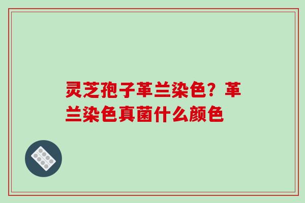 灵芝孢子革兰染色？革兰染色真菌什么颜色