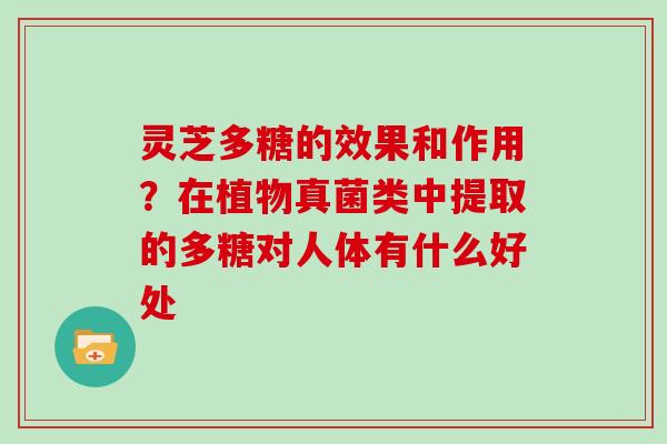 灵芝多糖的效果和作用？在植物真菌类中提取的多糖对人体有什么好处