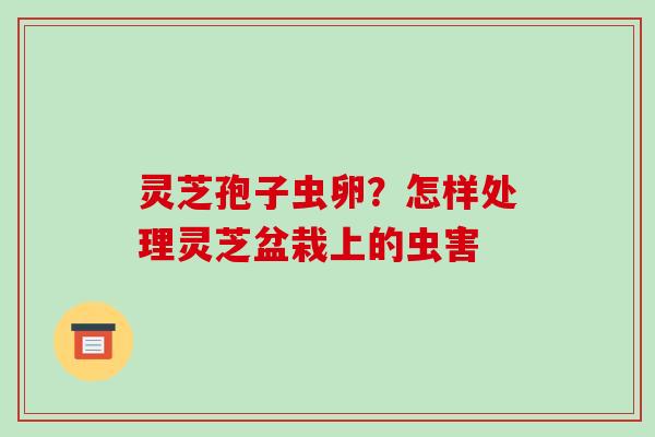 灵芝孢子虫卵？怎样处理灵芝盆栽上的虫害