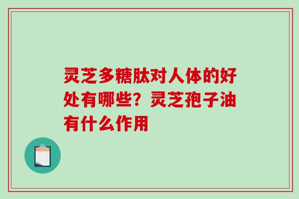 灵芝多糖肽对人体的好处有哪些？灵芝孢子油有什么作用