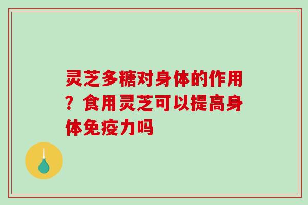 灵芝多糖对身体的作用？食用灵芝可以提高身体免疫力吗
