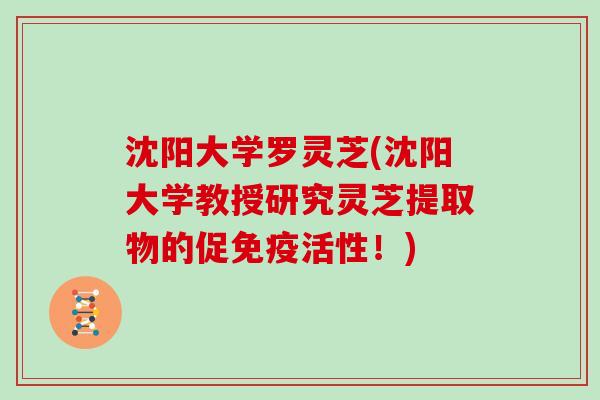 沈阳大学罗灵芝(沈阳大学教授研究灵芝提取物的促免疫活性!) 沈阳大学罗灵芝(沈阳大学教授研究灵芝提取物的促免疫活性!)