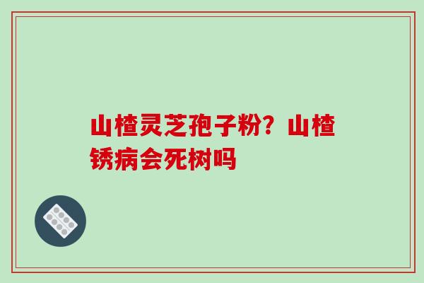 山楂灵芝孢子粉?山楂锈会死树吗 山楂灵芝孢子粉?山楂锈会死树吗