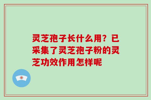 灵芝孢子长什么用？已采集了灵芝孢子粉的灵芝功效作用怎样呢