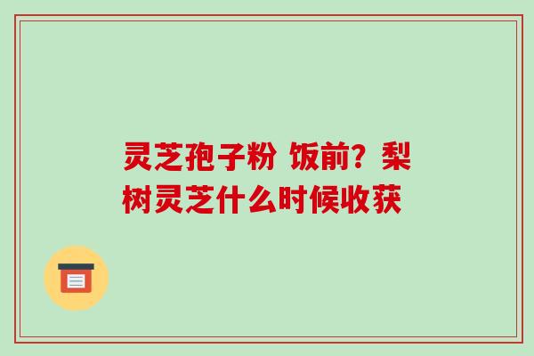 灵芝孢子粉 饭前?梨树灵芝什么时候收获 灵芝孢子粉 饭前?梨树灵芝什么时候收获