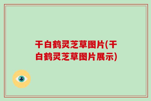 干白鹤灵芝草图片(干白鹤灵芝草图片展示)