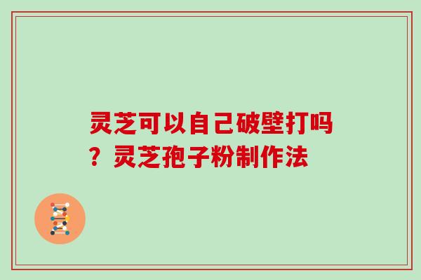 灵芝可以自己破壁打吗？灵芝孢子粉制作法