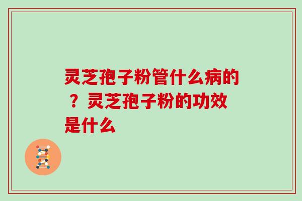 灵芝孢子粉管什么的 ？灵芝孢子粉的功效是什么