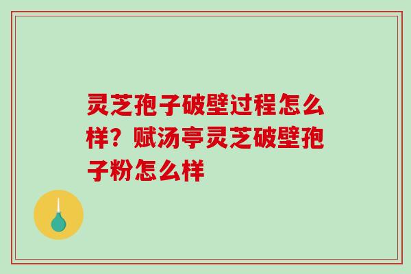 灵芝孢子破壁过程怎么样？赋汤亭灵芝破壁孢子粉怎么样