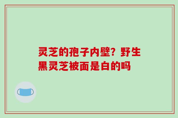 灵芝的孢子内壁?野生黑灵芝被面是白的吗 灵芝的孢子内壁?野生黑灵芝被面是白的吗