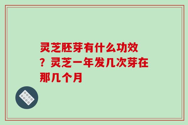 灵芝胚芽有什么功效 ？灵芝一年发几次芽在那几个月