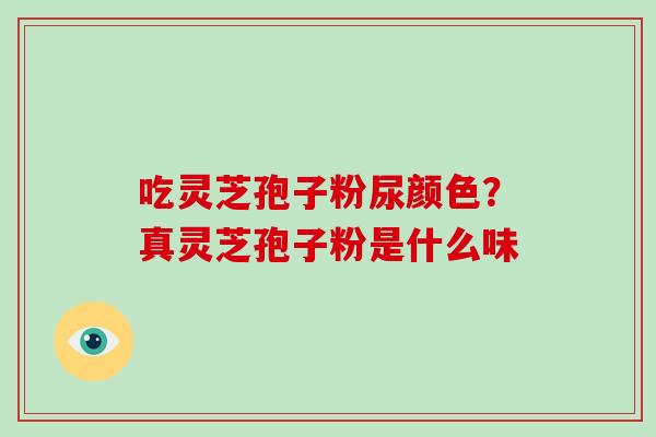 吃灵芝孢子粉尿颜色？真灵芝孢子粉是什么味