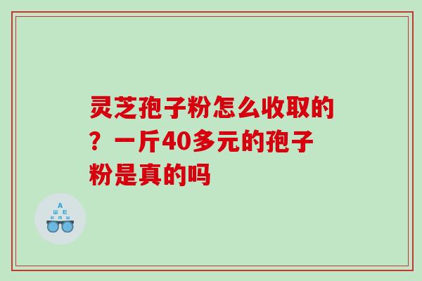 灵芝孢子粉怎么收取的？一斤40多元的孢子粉是真的吗