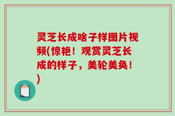 灵芝长成啥子样图片视频(惊艳！观赏灵芝长成的样子，美轮美奂！)