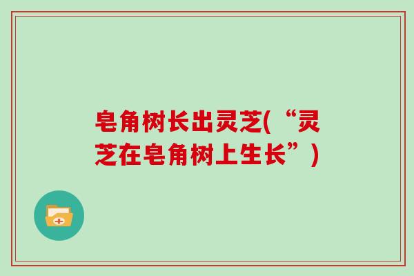 皂角树长出灵芝(“灵芝在皂角树上生长”)