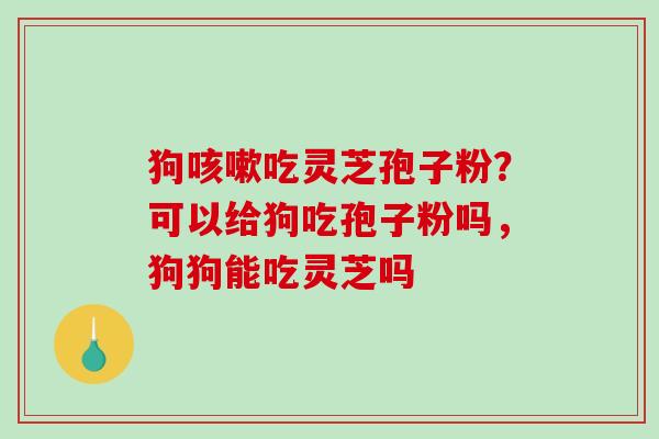 狗吃灵芝孢子粉？可以给狗吃孢子粉吗，狗狗能吃灵芝吗