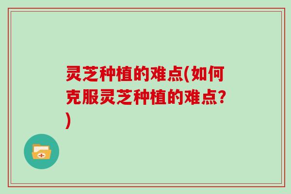 灵芝种植的难点(如何克服灵芝种植的难点？)