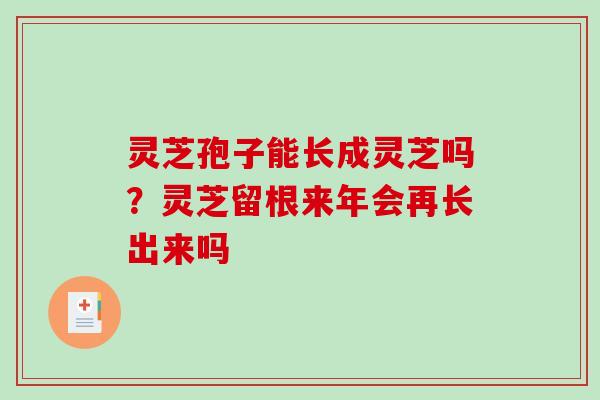 灵芝孢子能长成灵芝吗?灵芝留根来年会再长出来吗 灵芝孢子能长成灵芝吗?灵芝留根来年会再长出来吗