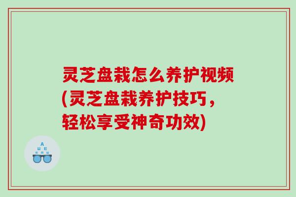 灵芝盘栽怎么养护视频(灵芝盘栽养护技巧,轻松享受神奇功效) 灵芝盘栽怎么养护视频(灵芝盘栽养护技巧,轻松享受神奇功效)