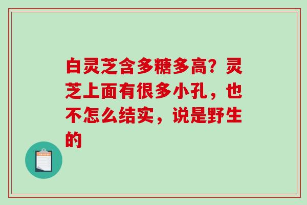 白灵芝含多糖多高?灵芝上面有很多小孔,也不怎么结实,说是野生的 白灵芝含多糖多高?灵芝上面有很多小孔,也不怎么结实,说是野生的