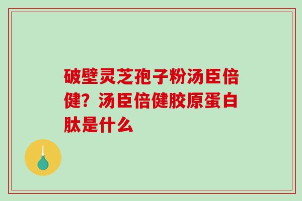 破壁灵芝孢子粉汤臣倍健？汤臣倍健胶原蛋白肽是什么