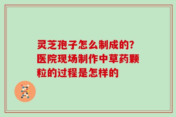 灵芝孢子怎么制成的？医院现场制作中草药颗粒的过程是怎样的