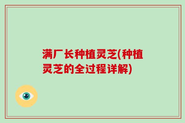 满厂长种植灵芝(种植灵芝的全过程详解)