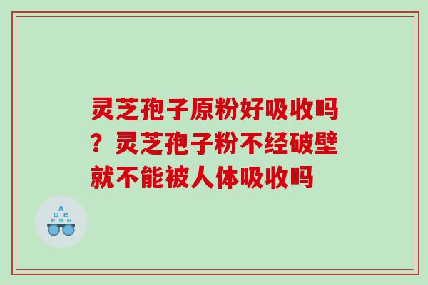 灵芝孢子原粉好吸收吗?灵芝孢子粉不经破壁就不能被人体吸收吗 灵芝孢子原粉好吸收吗?灵芝孢子粉不经破壁就不能被人体吸收吗